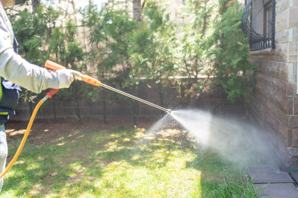 Best Pest Control for Homes  in New Miami, OH