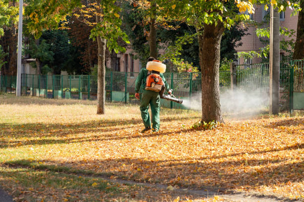 Best Insect Control  in New Miami, OH