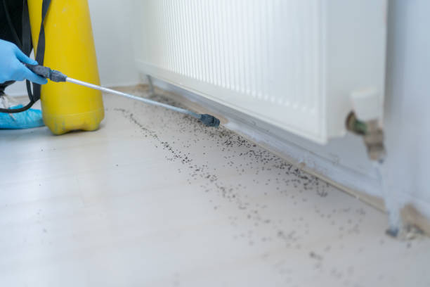 Best Ant Control Services  in New Miami, OH